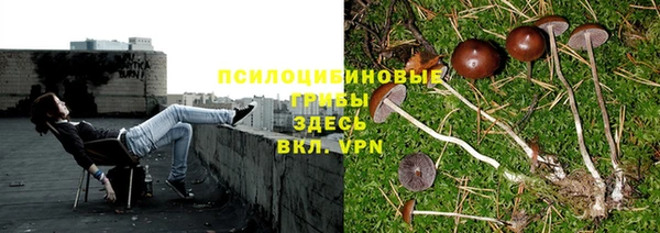 Альфа ПВП Балабаново