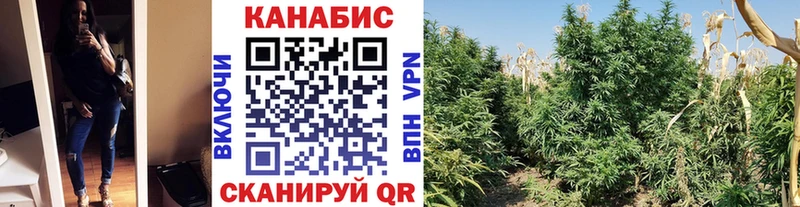 купить наркоту  Долинск  Конопля план 